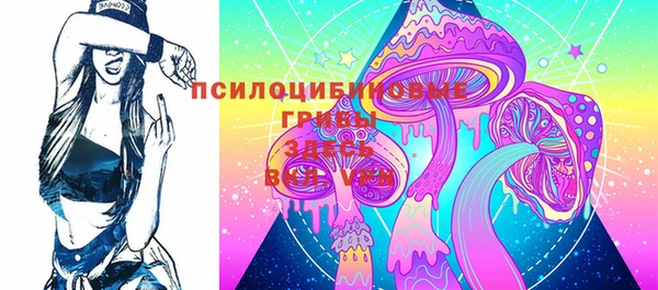 2c-b Богородск