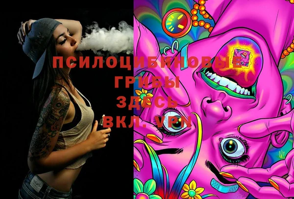 героин Богданович