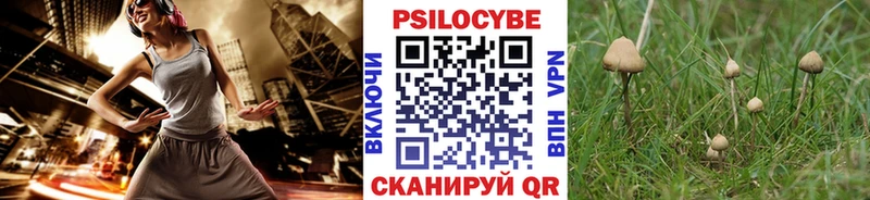 закладка  Высоковск  Псилоцибиновые грибы MAGIC MUSHROOMS 